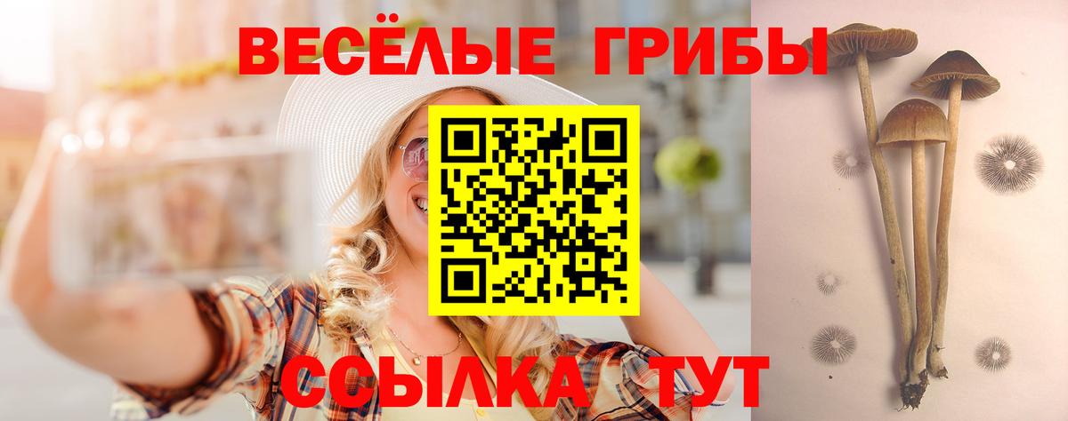 Псилоцибиновые грибы прущие грибы Лабытнанги
